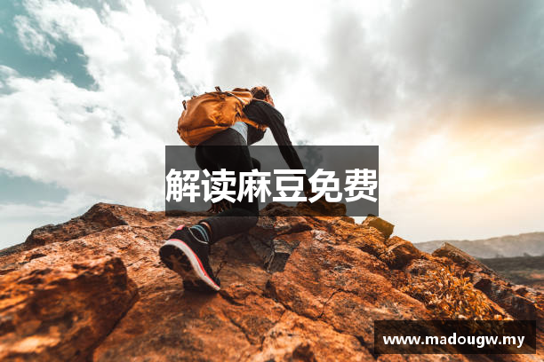 解读麻豆免费